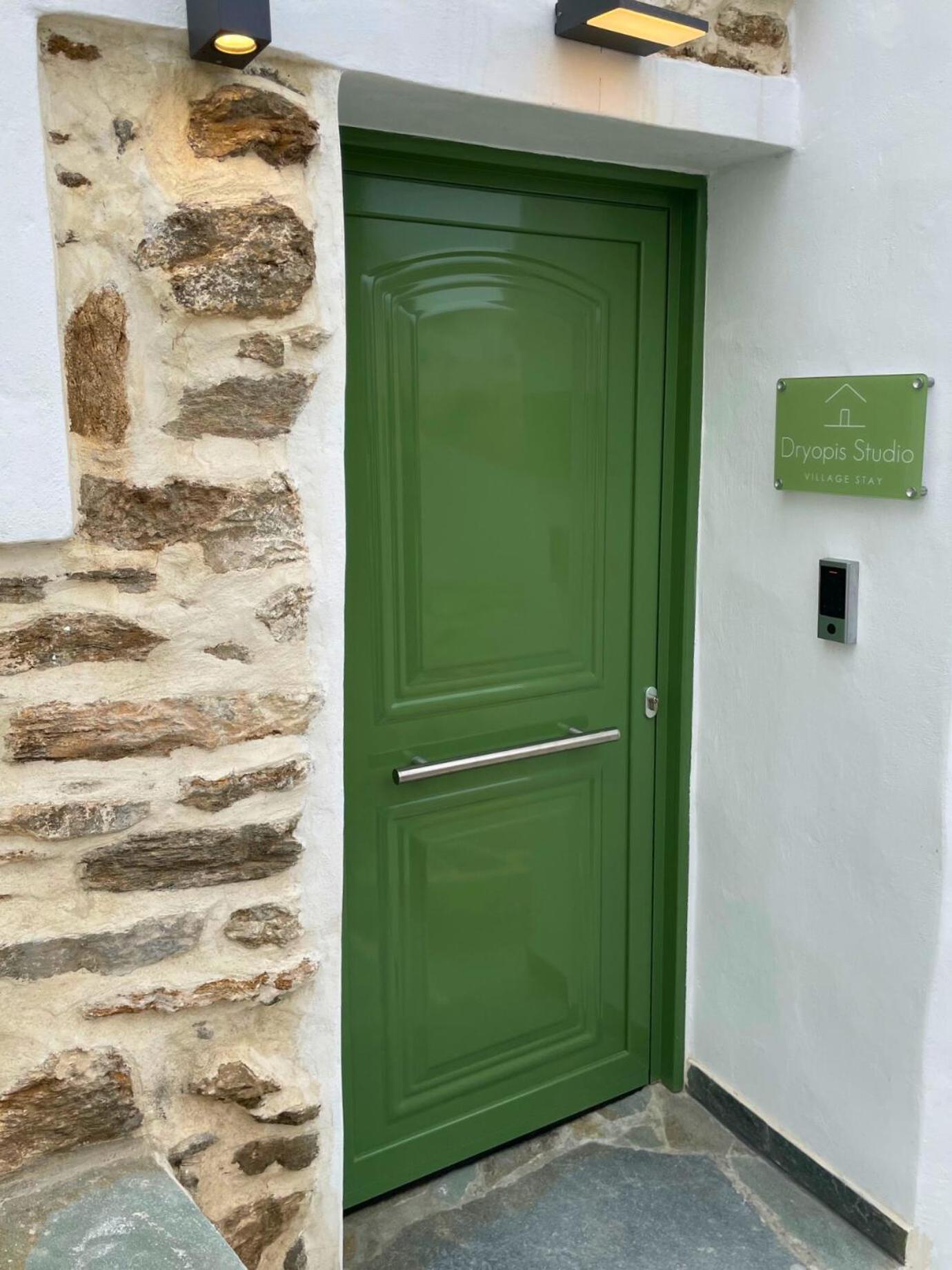 Dhriopís Dryopis Studio מראה חיצוני תמונה